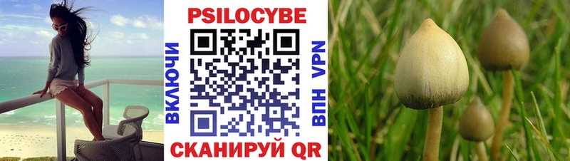 Псилоцибиновые грибы мицелий это как зайти Ростов